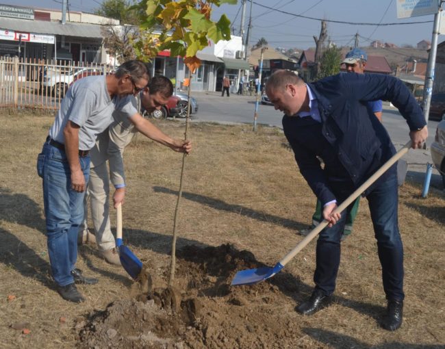 Засадивме 100 садници во акцијата за разубавување на нашиот град