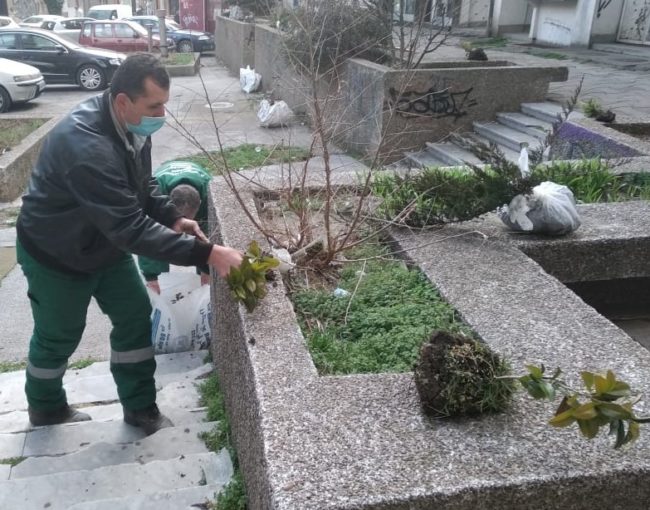 Уредување на жардинерите пред 16-катницата и ТЦ Сума на улица Моша Пијаде
