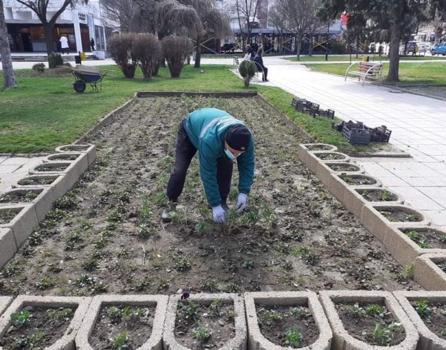 Oплеменување на цветни површини на плоштадите