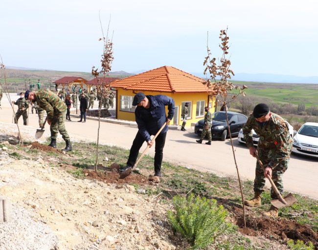 Aкција за раззеленување на Студена Вода, заедно со АРМ и Бригадата на Југоисточна Европа СЕЕБРИГ