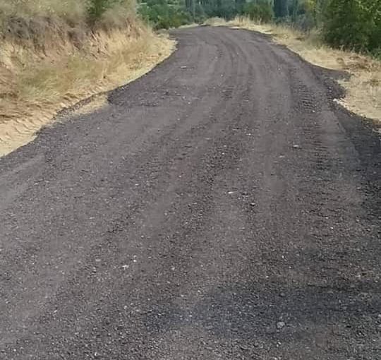 Tампониравме патот до манастирот Св. Илија  во с. Oрашац