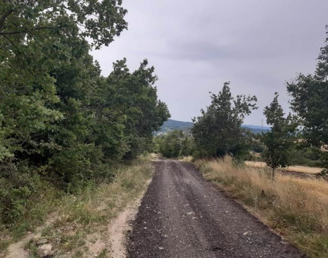 Тампонирање на пат во с. Пезово
